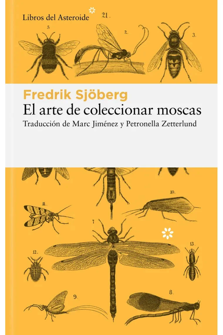 El arte de coleccionar moscas