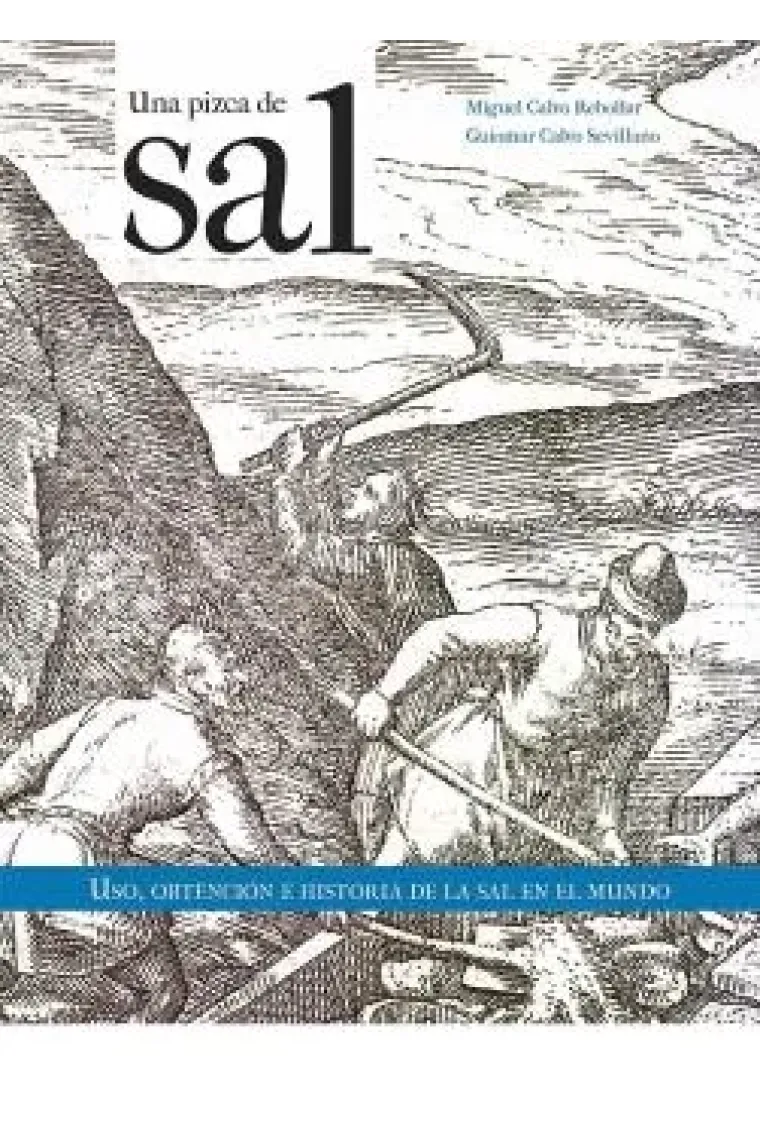 Una pizca de sal. Uso, obtención e historia de la sal en el mundo