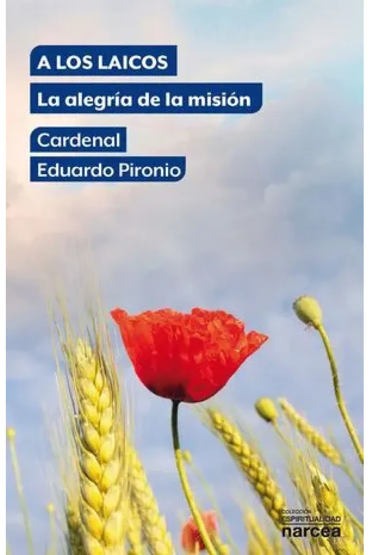 A los laicos: la alegría de la misión