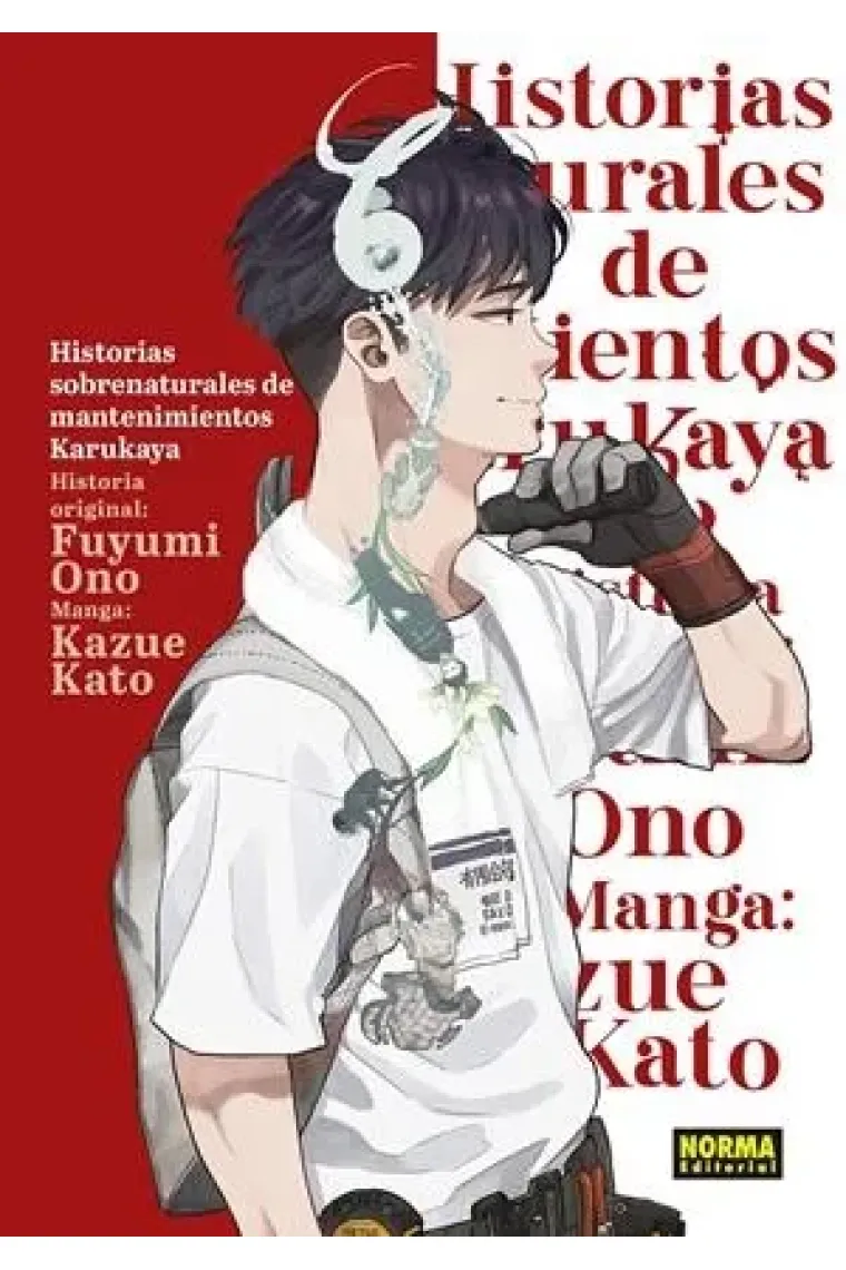 Historias sobrenaturales de mantenimientos Karukaya