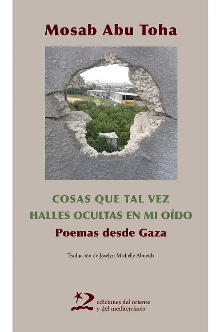 Cosas que tal vez halles ocultas en mi oído.