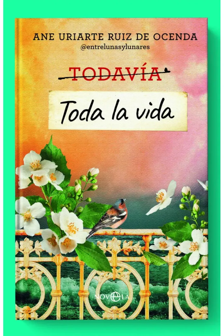 TODA LA VIDA