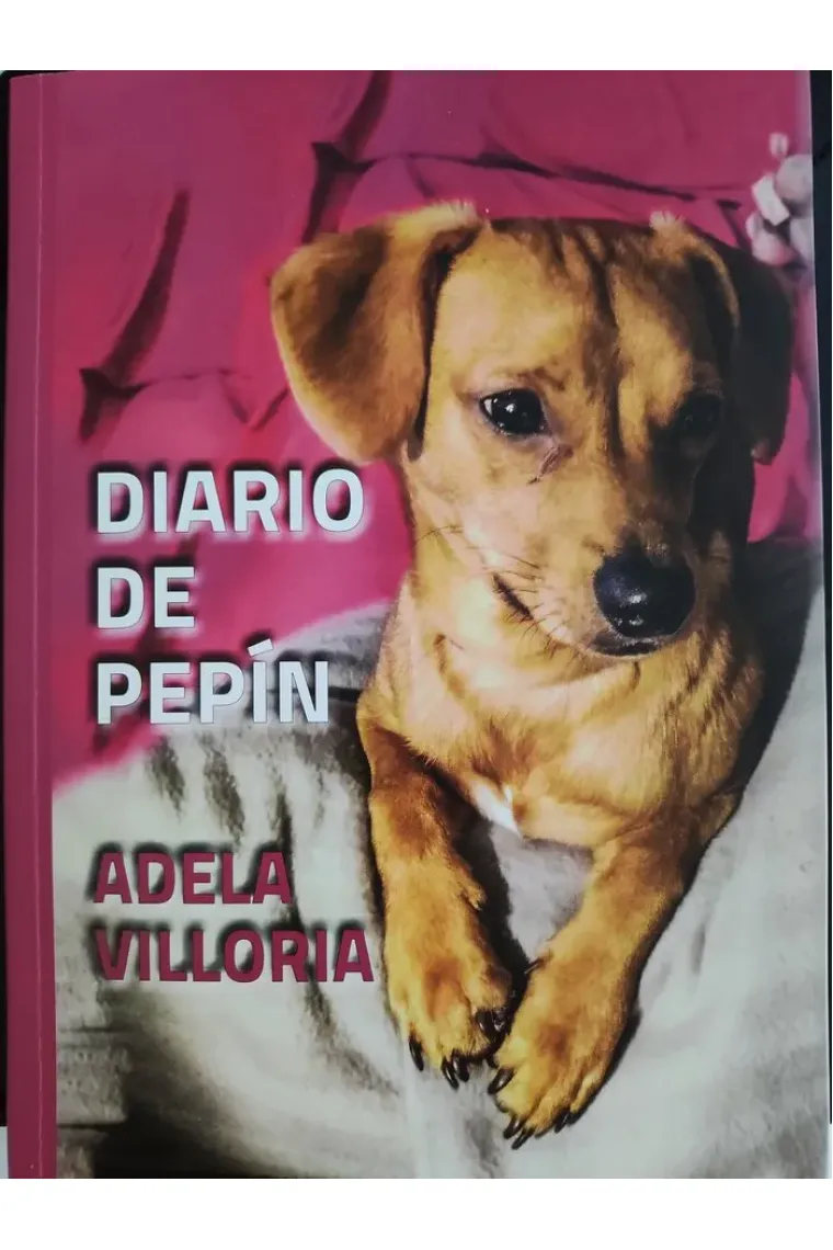 DIARIO DE PEPIN