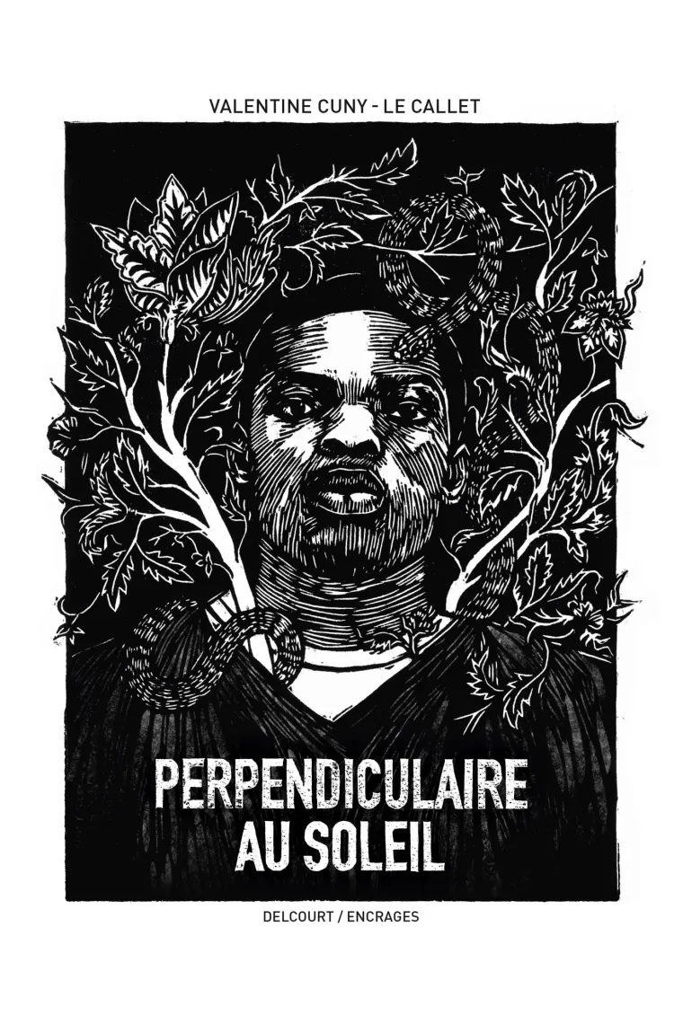 Perpendiculaire au soleil (Francés)
