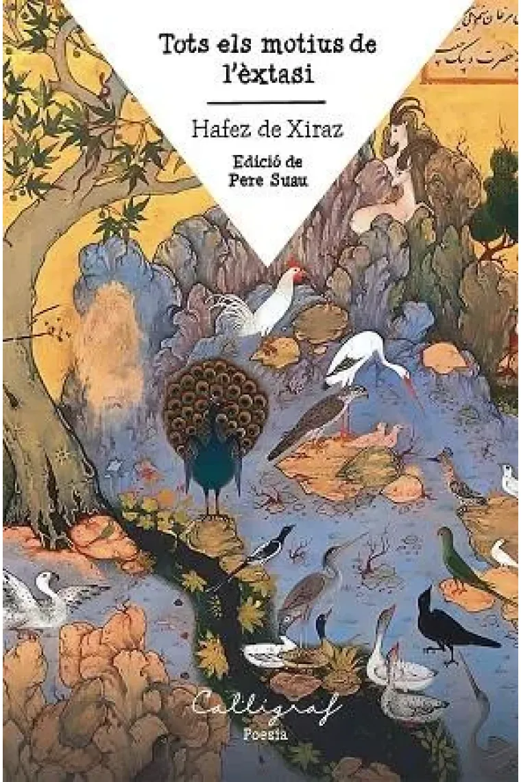 Tots els motius de l’èxtasi (Catalán)