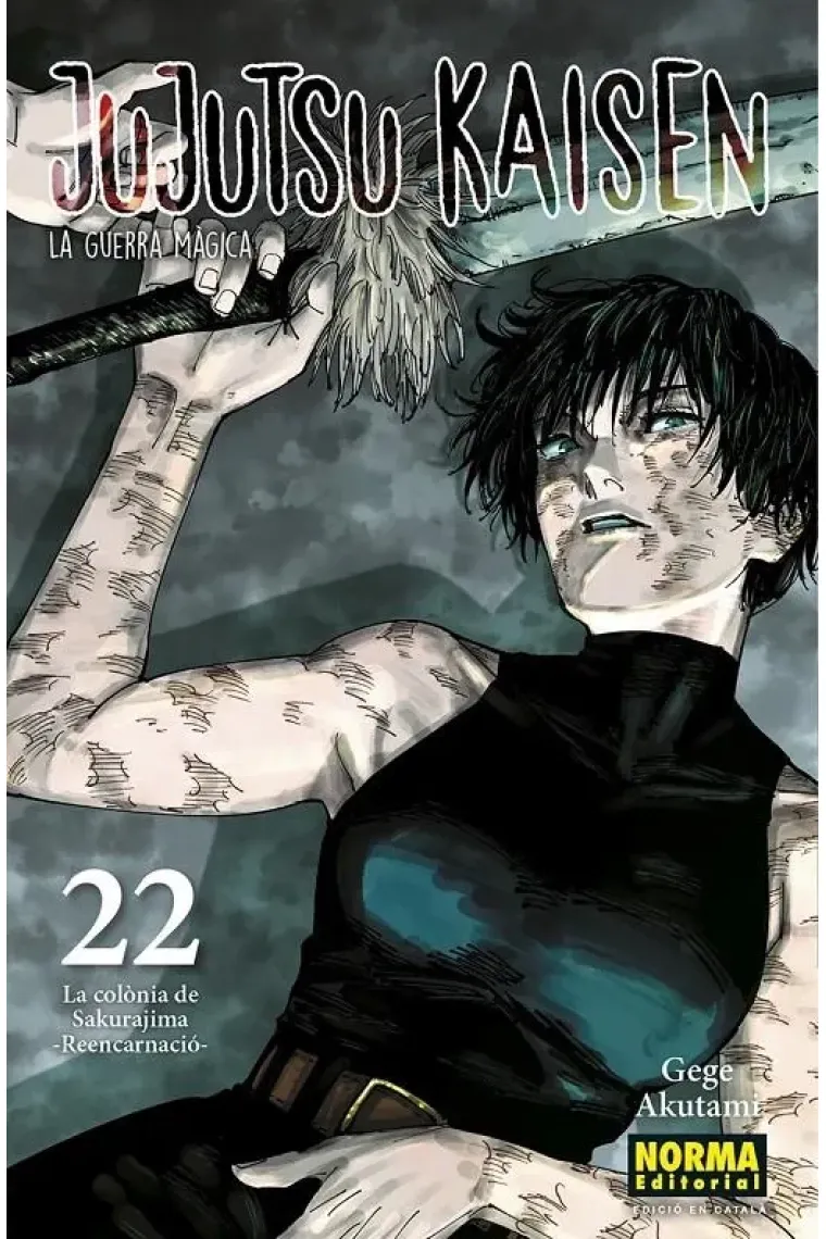 JUJUTSU KAISEN 22