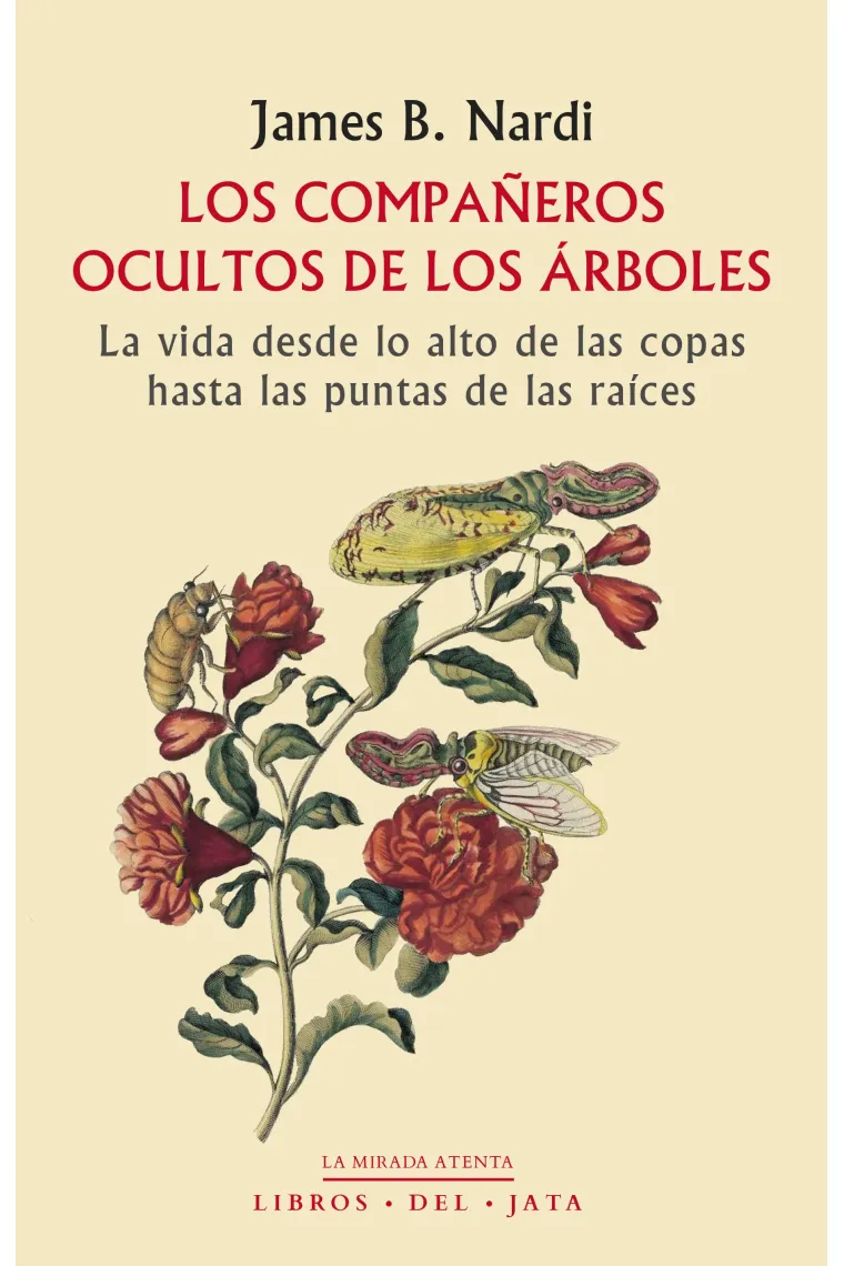 Los compañeros ocultos de los árboles.