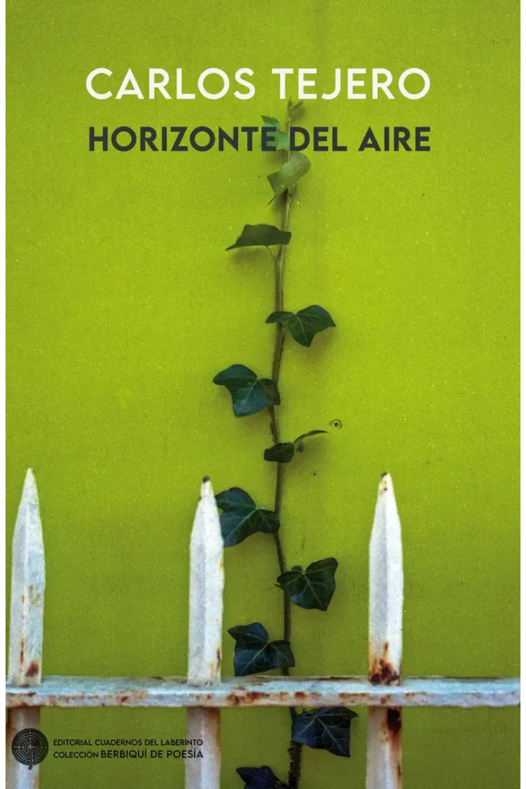 HORIZONTE DEL AIRE