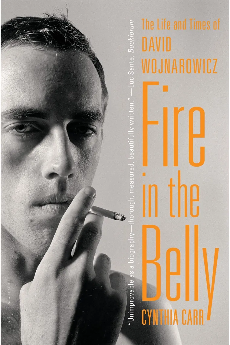 Fire in the Belly: The Life and Times of David Wojnarowicz (Inglés)