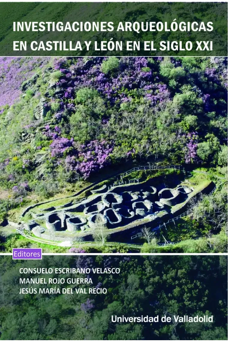 INVESTIGACIONES ARQUEOLOGICAS EN CASTILLA Y LEON EN EL SIGLO