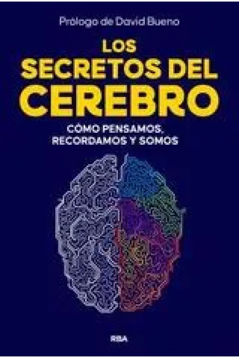 Los secretos del cerebro. Cómo pensamos, recordamos y somos