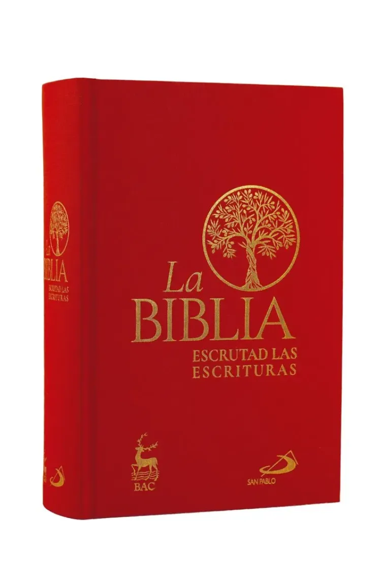 LA BIBLIA ESCRUTAD LAS ESCRITURAS TELA CON ESTUCHE