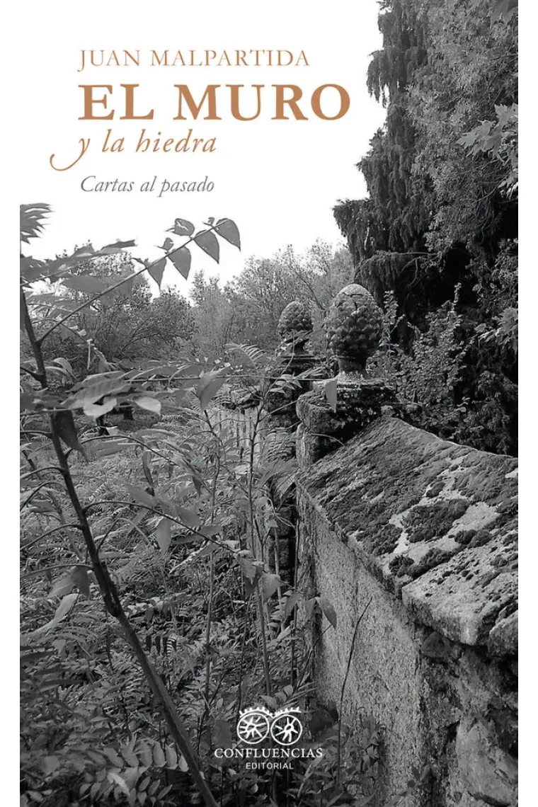 El muro y la hiedra (Cartas al pasado)