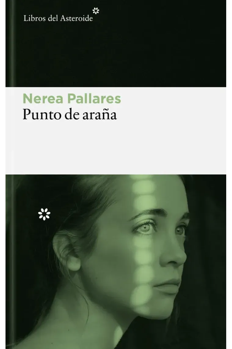 Punto de araña