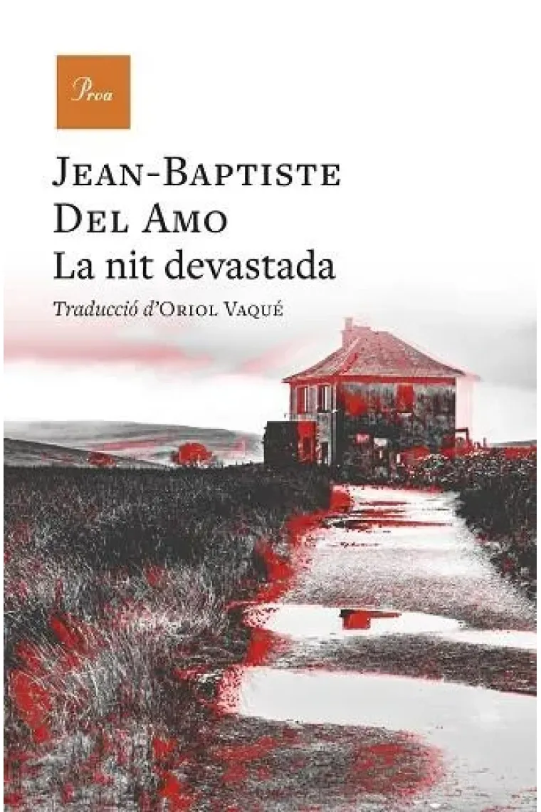 La nit devastada (Catalán)