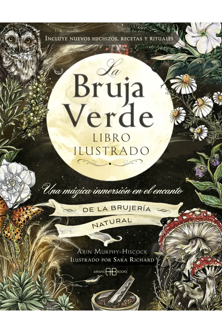 LA BRUJA VERDE LIBRO ILUSTRADO