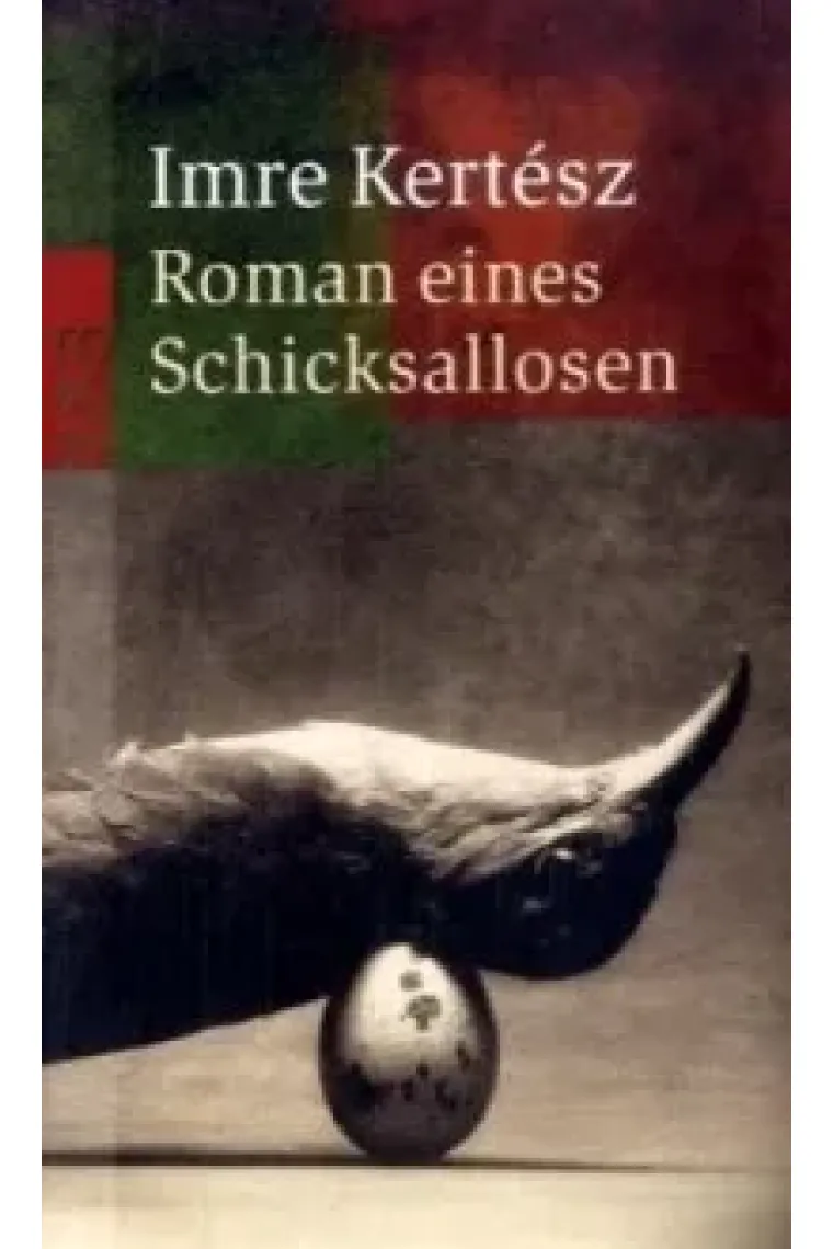 Roman eines Schicksallosen (Alemán)