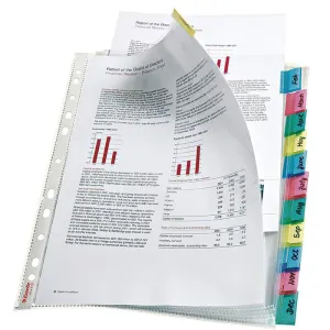 ESSELTE FUNDA MULT.LEITZ A4 PESTAÑAS 12PESTAÑ 414170 MAK209227