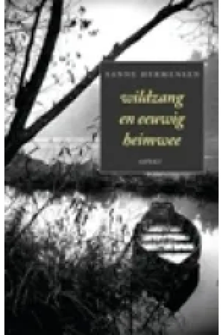 Wildzang en eeuwig heimwee/ Wildzang una nostalgia eterna (Holandés)
