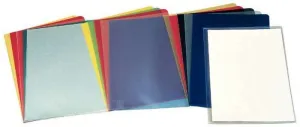 ESSELTE CAJA DE 100 DOSSIERS UÃ±ERO MODELO 30F FOLIO 180 MICRAS - ACABADO FOCA