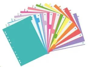 OXFORD SEPARADOR A4 10 POSICIONES COLORES  400149957