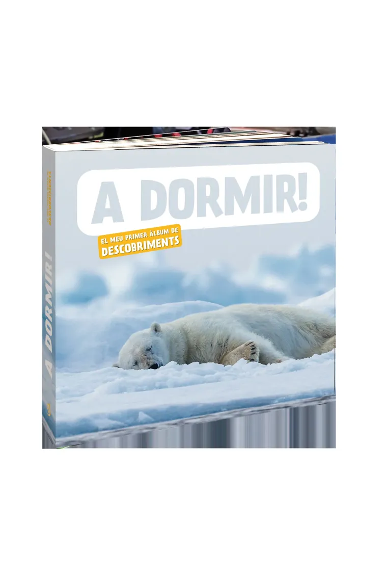 A dormir! (El meu primer àlbum de descobriments) (Catalán)