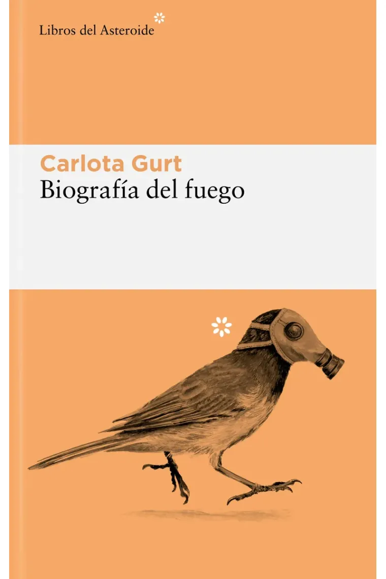 Biografía del fuego -301