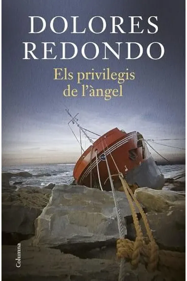 Els privilegis de l’àngel (Catalán)