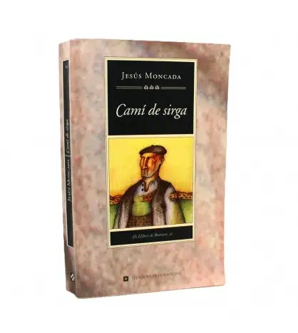 Camí de sirga