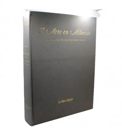 El Arte en Asturias a Través de sus Obras