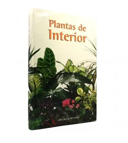 Plantas de interior