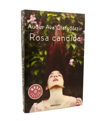 Rosa candida