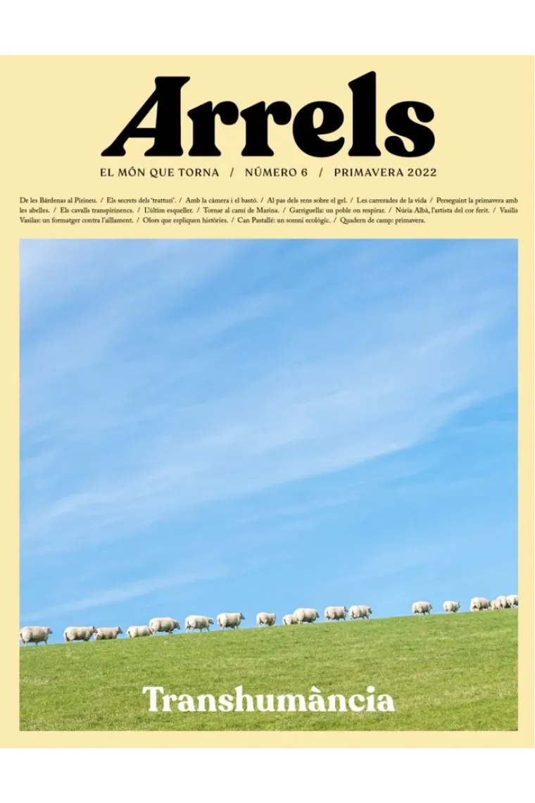 ARRELS  6 (Catalán)