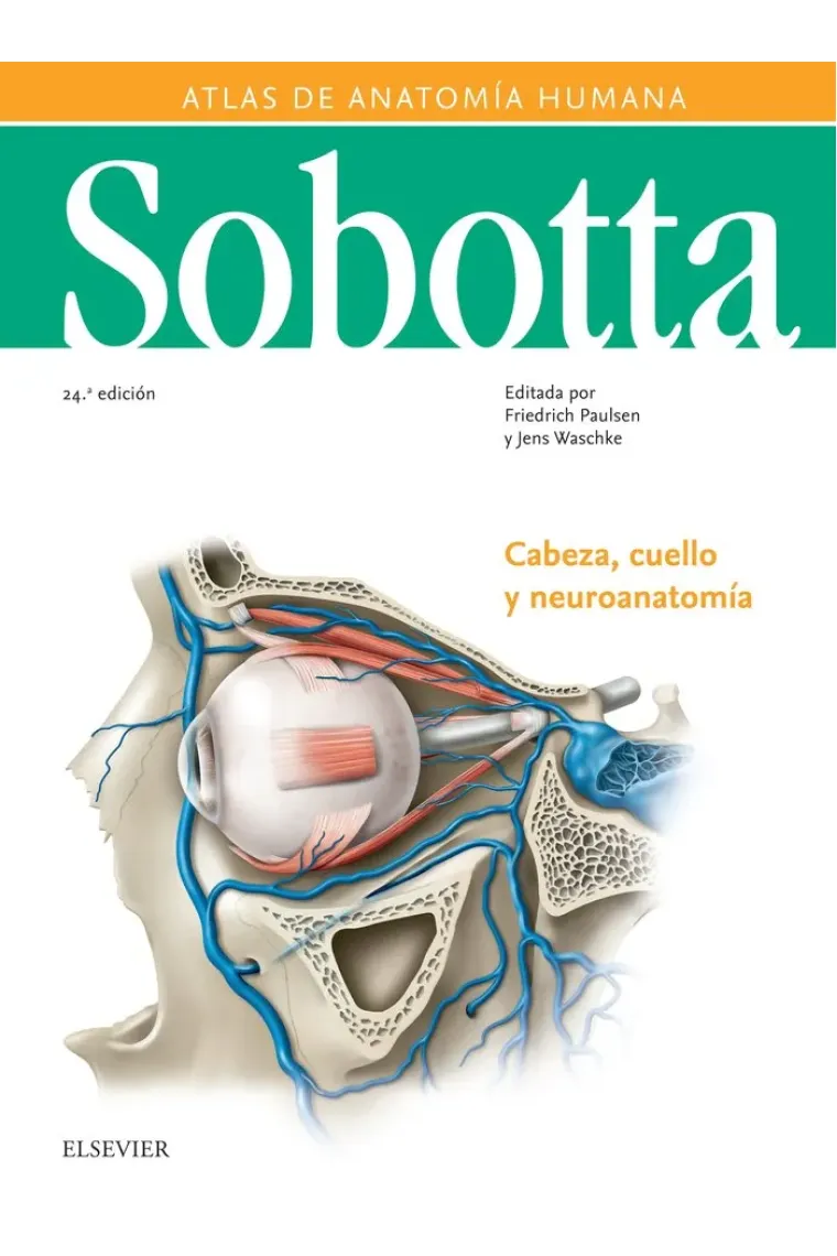 Sobotta. Atlas de anatomía humana vol 3 (24ª ed.)