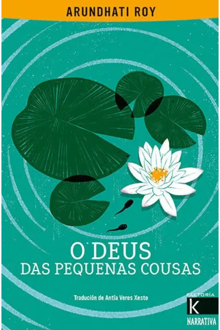 O DEUS DAS PEQUENAS COUSAS (Gallego)