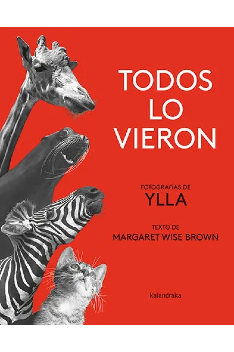 TODOS LO VIERON