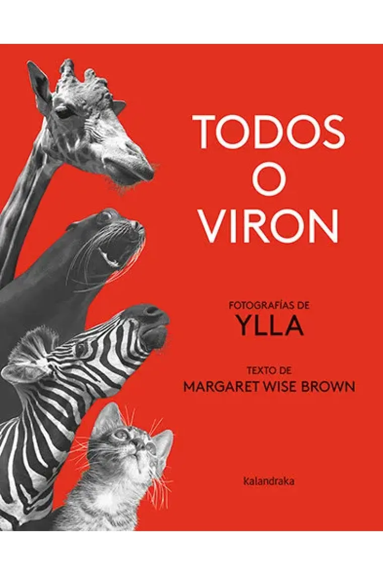 TODOS O VIRON (Gallego)