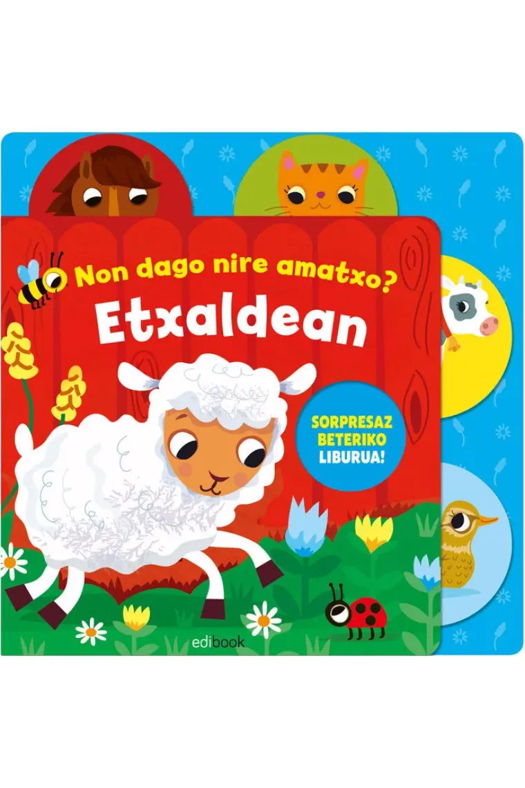 NON DAGO NIRE AMATXO ? ETXALDEAN