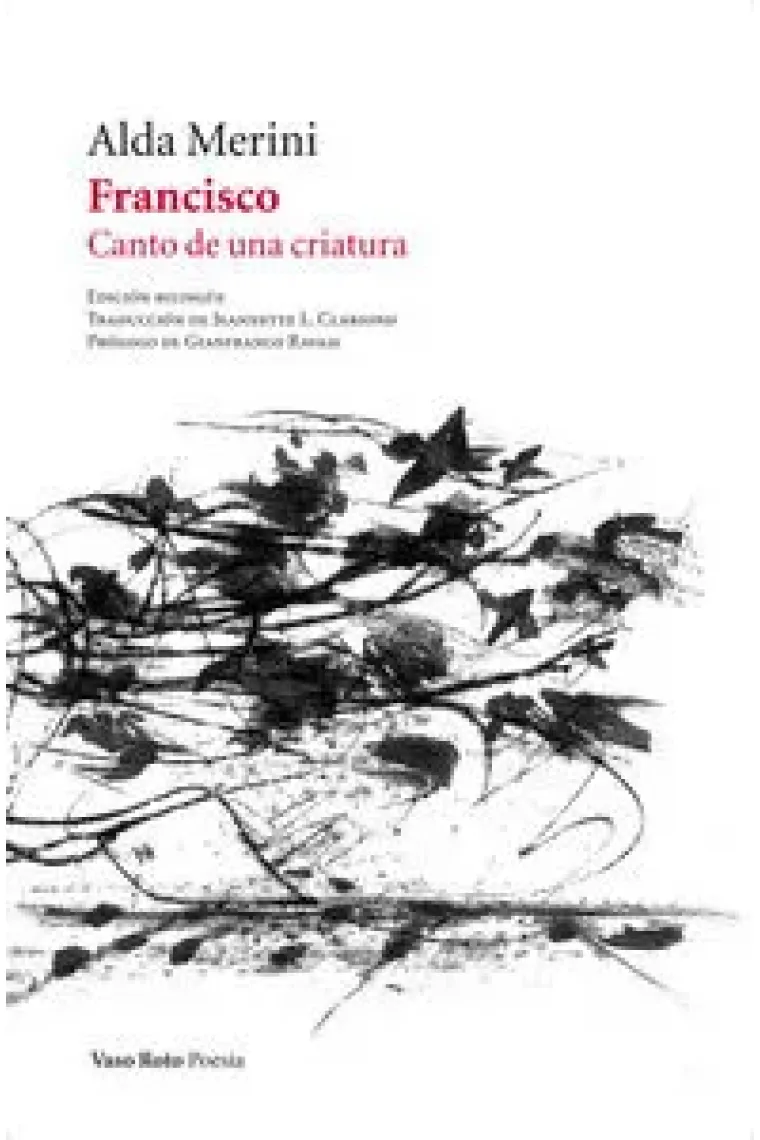 Francisco. Canto de una criatura