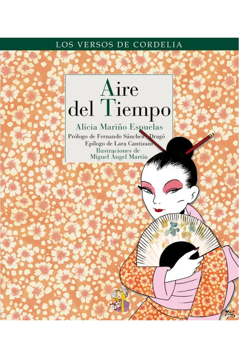 Aire del Tiempo
