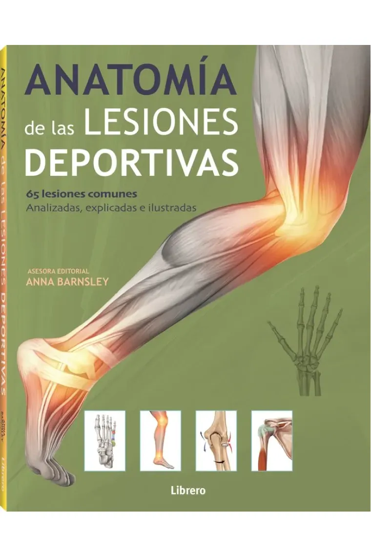 ANATOMIA DE LAS LESIONES DEPORTIVAS