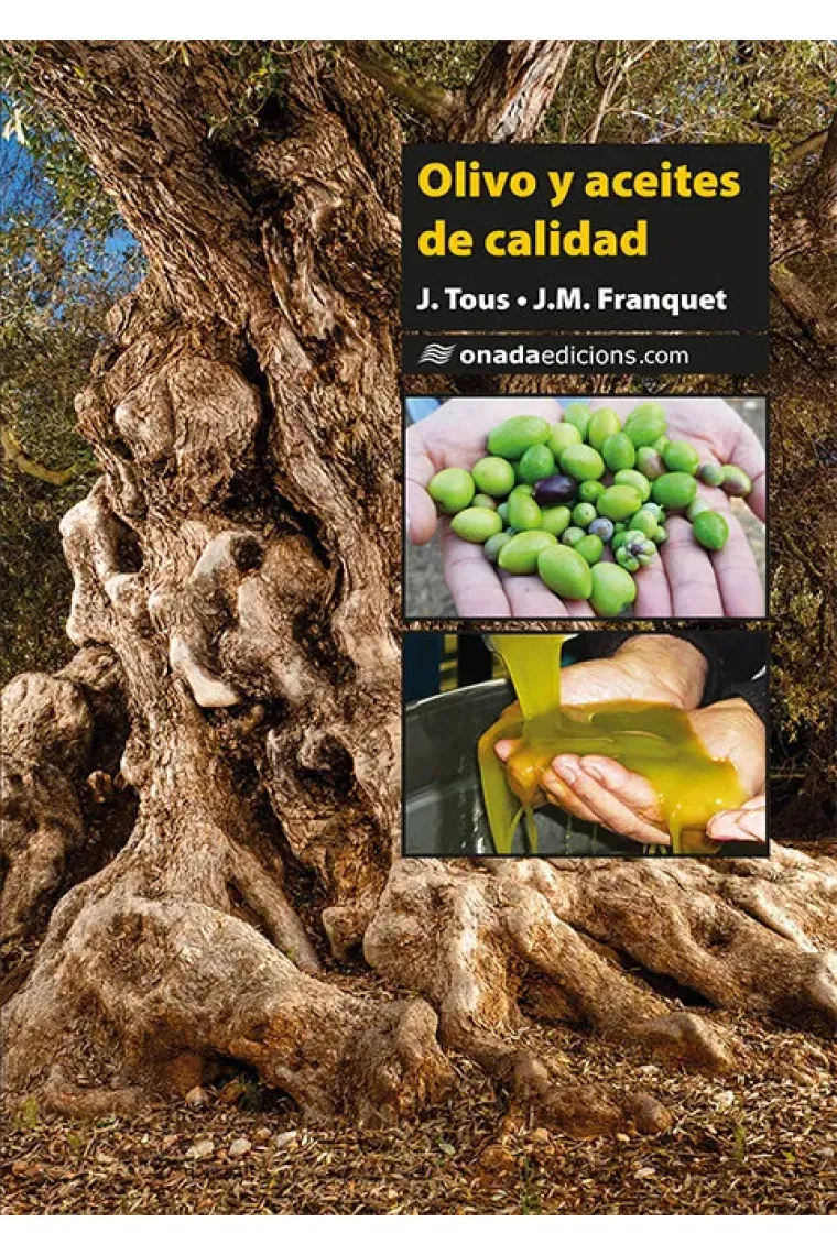 Olivo y aceites de calidad
