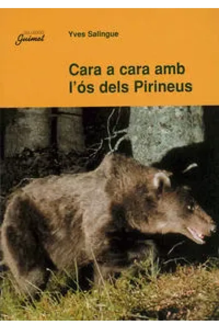 Cara a cara amb l'ós dels Pirineus (Catalán)