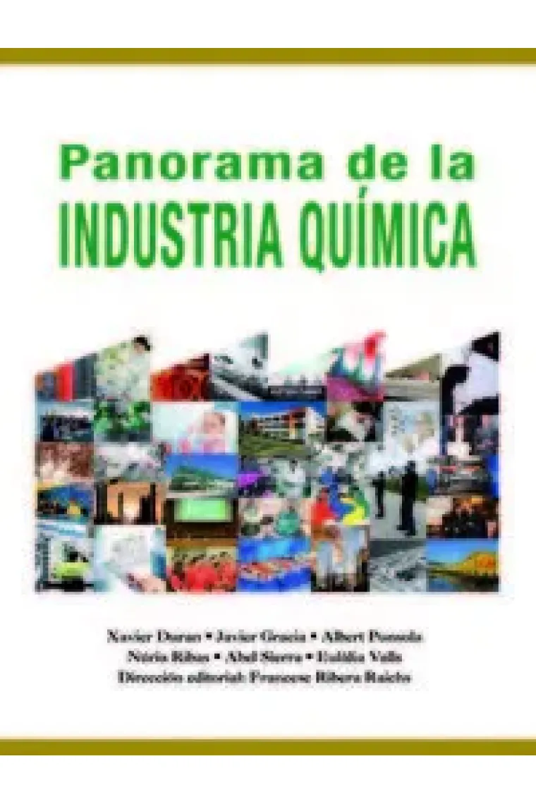 Panorama de la Industria Química