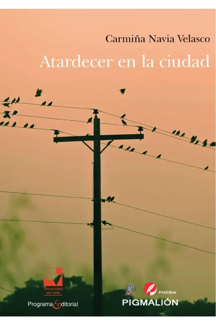 ATARDECER EN LA CIUDAD