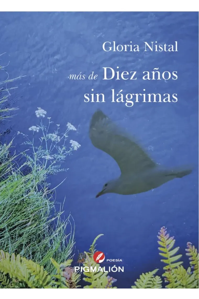MÁS DE DIEZ AÑOS SIN LÁGRIMAS