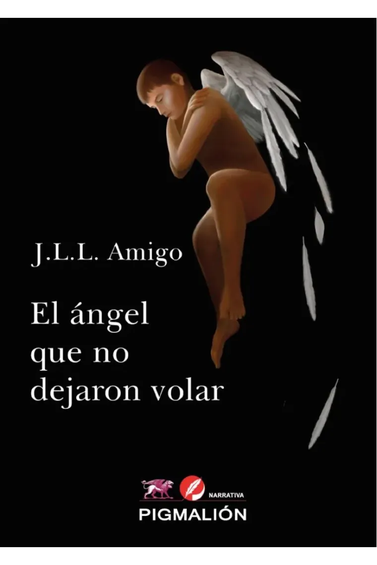 EL ÁNGEL QUE NO DEJARON VOLAR
