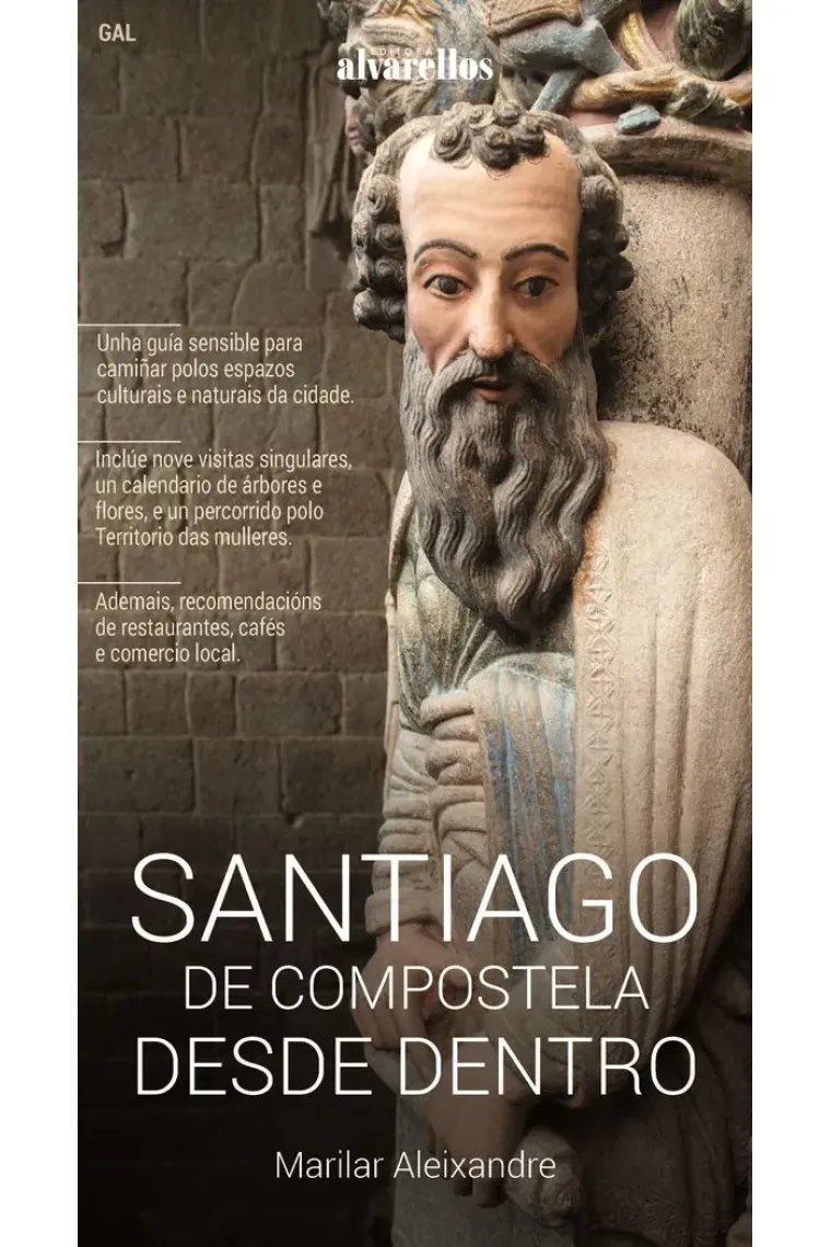 SANTIAGO DE COMPOSTELA DESDE DENTRO (Gallego)