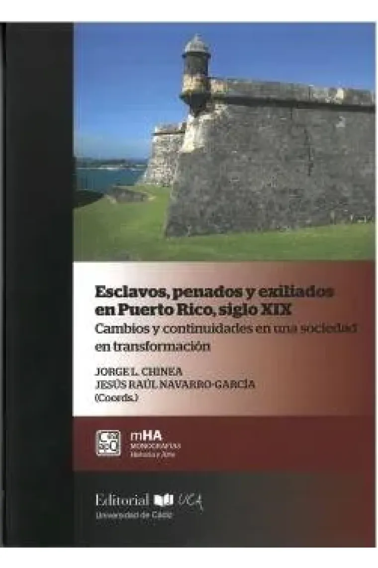 ESCLAVOS,PENADOS Y EXILIADOS EN PUERTO RICO, SIGLO XIX